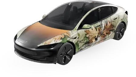 テキサス (Texas) – テスラ Model 3 ラッピング