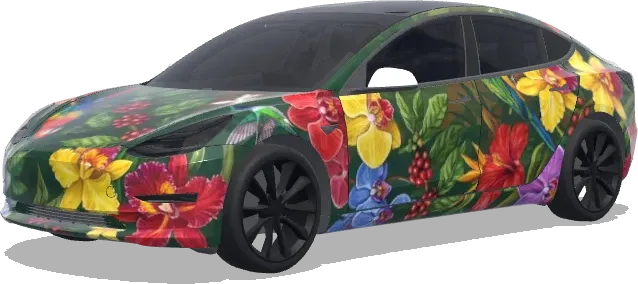 Colombia nature flowers, cofee and birds – Tesla Model 3 wrap
