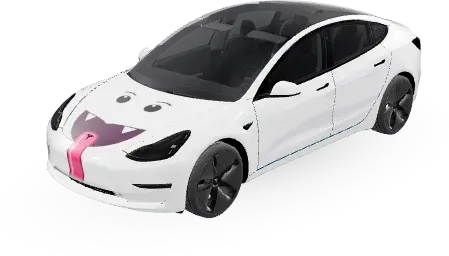 Buu Huu – Tesla Model 3 Wrap