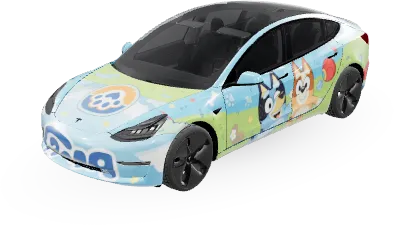 DELONG WANG – Tesla Model 3 wrap