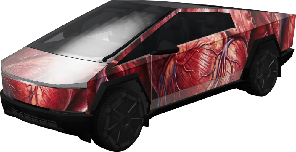 해부학적 심장 (Anatomical Heart) – 테슬라 Cybertruck 랩핑
