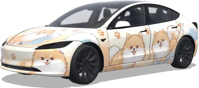 Chien Pomeranian (博美) – covering Tesla Model 3
