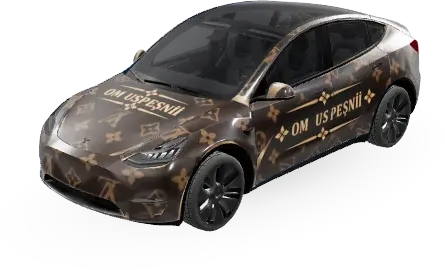 Om Uspesnii (Om uspesnii) – Tesla Model Y Wrap