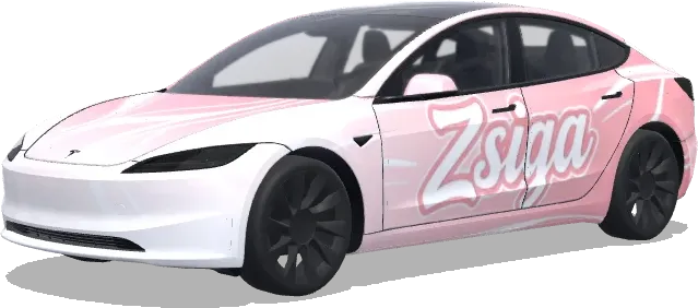 Zsiga 심플 배경 랩 – 테슬라 Model 3 랩핑