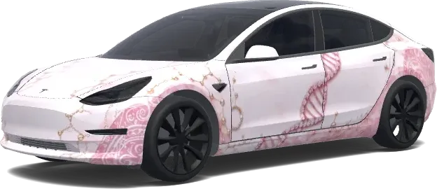 Alignement Correct (make sure everything lines up correctly) – covering Tesla Model 3