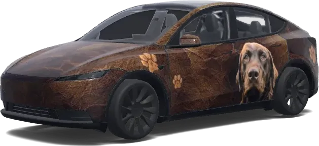 Model Y Design Standard (Model Y (2025+) Standard Design) – covering Tesla Model Y