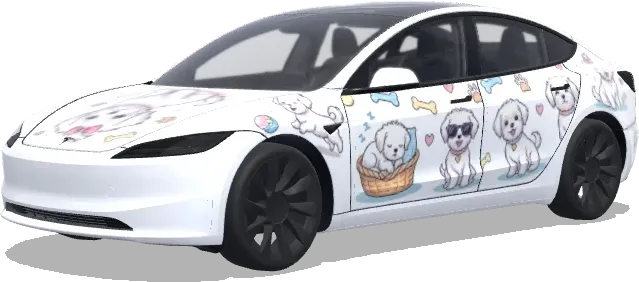 Мальтийская собака (Cute Maltese dog with different poses) – оклейка Tesla Model 3