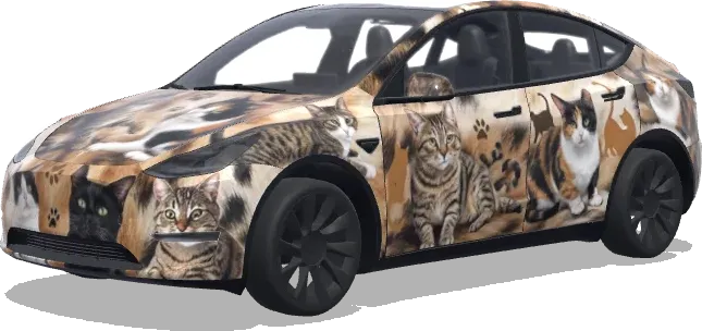 Gatos personalizados – wrap para Tesla Model Y