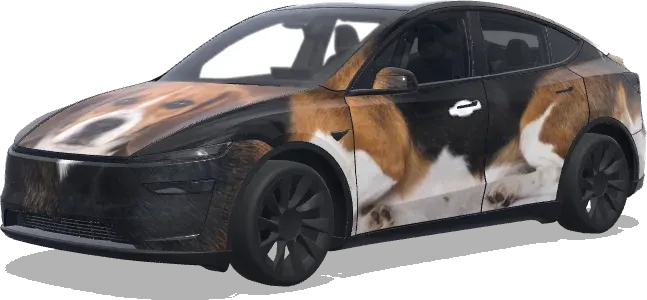 Beagle – wrap para Tesla Model Y