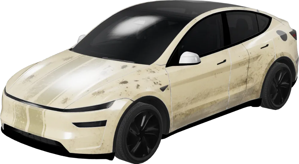 벌레 자국 랠리 (Bugsplatter Rally) – 테슬라 Model Y 랩핑