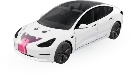 Buu Hub – covering Tesla Model 3