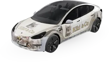 油油 – テスラ Model 3 ラッピング