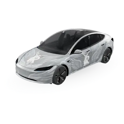 Dieu (god) – covering Tesla Model 3
