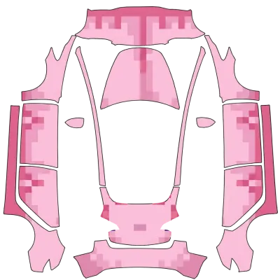 Axolotl – Tesla Model 3 Wrap