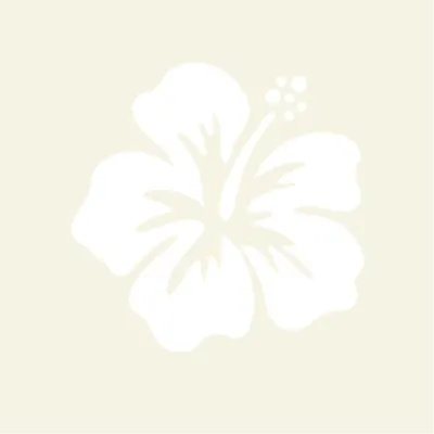 可愛粉彩黃扶桑花（hibiscus flower ~ cute, pastel yellow） – 特斯拉 Model Y 塗裝