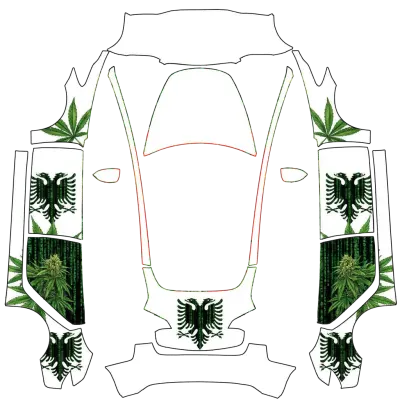 阿爾巴尼亞駭客帝國（weed albania matrix 6M） – 特斯拉 Model 3 塗裝