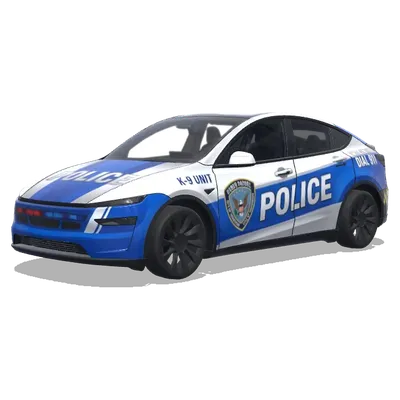 Оформление автомобиля «Полицейская кинологическая служба» – оклейка Tesla Model Y