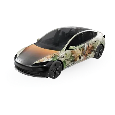 Texas – Tesla Model 3 Wrap