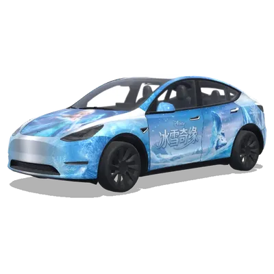 Frozen Elsa Princess (冰雪奇缘，艾莎公主) – Tesla Model Y wrap
