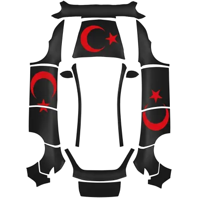 Turcique (Turkic) – covering Tesla Model Y