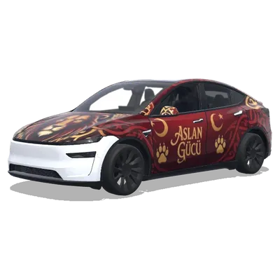 獅頭前視改裝 – 特斯拉 Model Y 塗裝