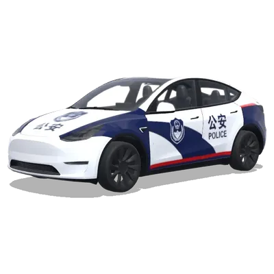Öffentliche Sicherheit (公安) – Tesla Model Y Wrap