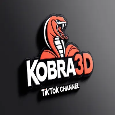 KOBRA3DPRINTING X TESLA – Tesla Model 3 wrap