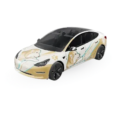 Maddy – Tesla Model 3 Wrap