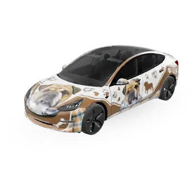 Chapo – Tesla Model 3 Wrap