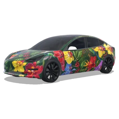 Kolumbien Natur (Colombia nature flowers, cofee and birds) – Tesla Model 3 Wrap
