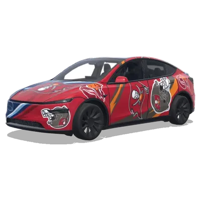 Тампа Бэй – оклейка Tesla Model Y
