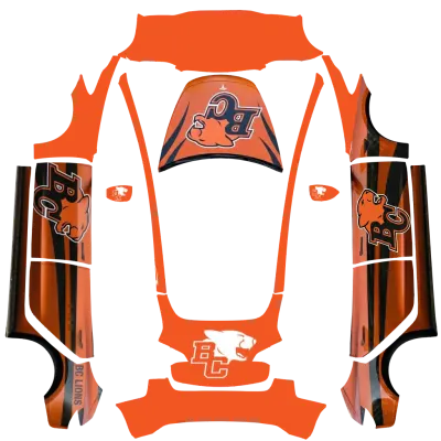 BC雄獅（BC lions） – 特斯拉 Model 3 塗裝