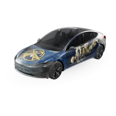 Navy SEAL (Navy seal) – Tesla Model 3 Wrap