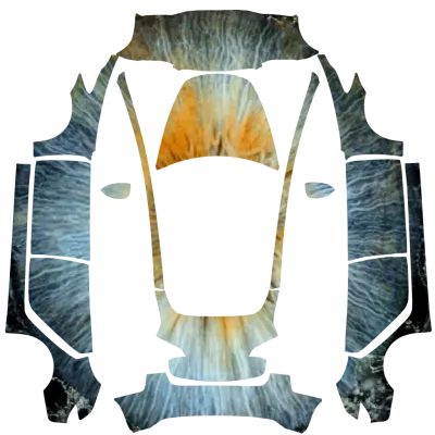 Auge (Oeil) – Tesla Model 3 Wrap