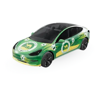 SKSH – Tesla Model 3 Wrap
