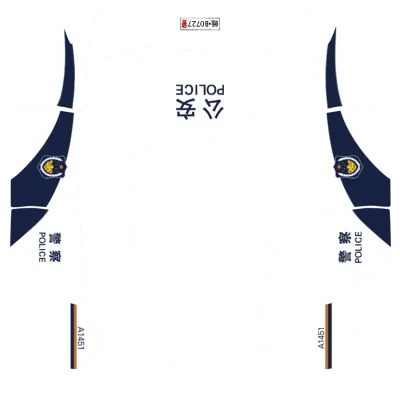 pohots – Tesla Model Y Wrap