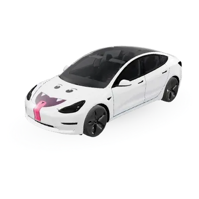 Buu Huu – Tesla Model 3 wrap