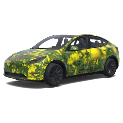 Gelbe Wiesen-Folierung – Tesla Model Y Wrap