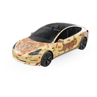 D – Tesla Model 3 Wrap