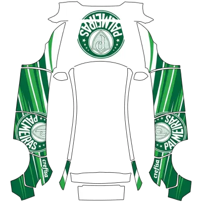 Palmeiras – covering Tesla Model Y