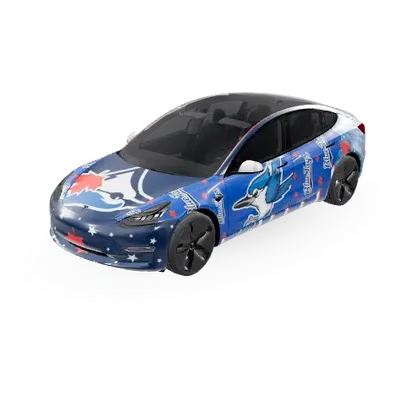 Blue Jays (blue jays) – covering Tesla Model 3