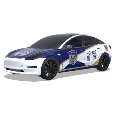Синяя золотая полицейская звезда (警察) – оклейка Tesla Model 3