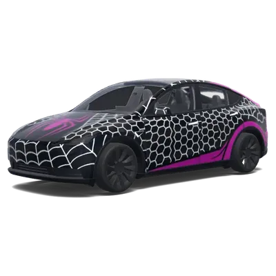 거미줄 랩 – 테슬라 Model Y 랩핑