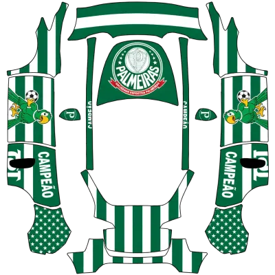 Palmeiras – covering Tesla Model Y