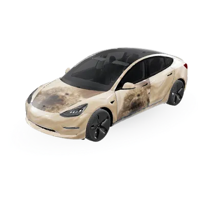Toy Pudel (Toy Poodle) – Tesla Model 3 Wrap