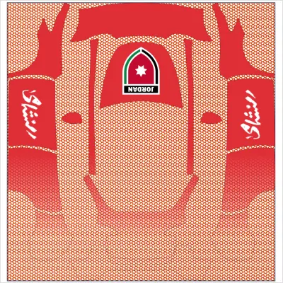 Nashama Red MY – covering Tesla Model Y