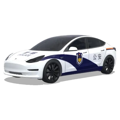 Chinesisches Polizeiauto (Chinese police car) – Tesla Model 3 Wrap