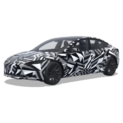 Tarnung wie Prototyp (試作車のようなカモフラージュ) – Tesla Model 3 Wrap