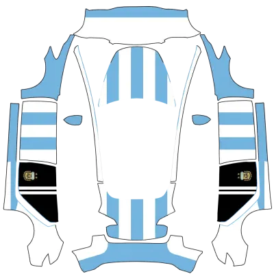 Football Argentine (Argentina futbol) – covering Tesla Model 3