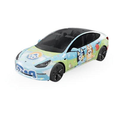 Delong Wang (DELONG WANG) – Tesla Model 3 Wrap